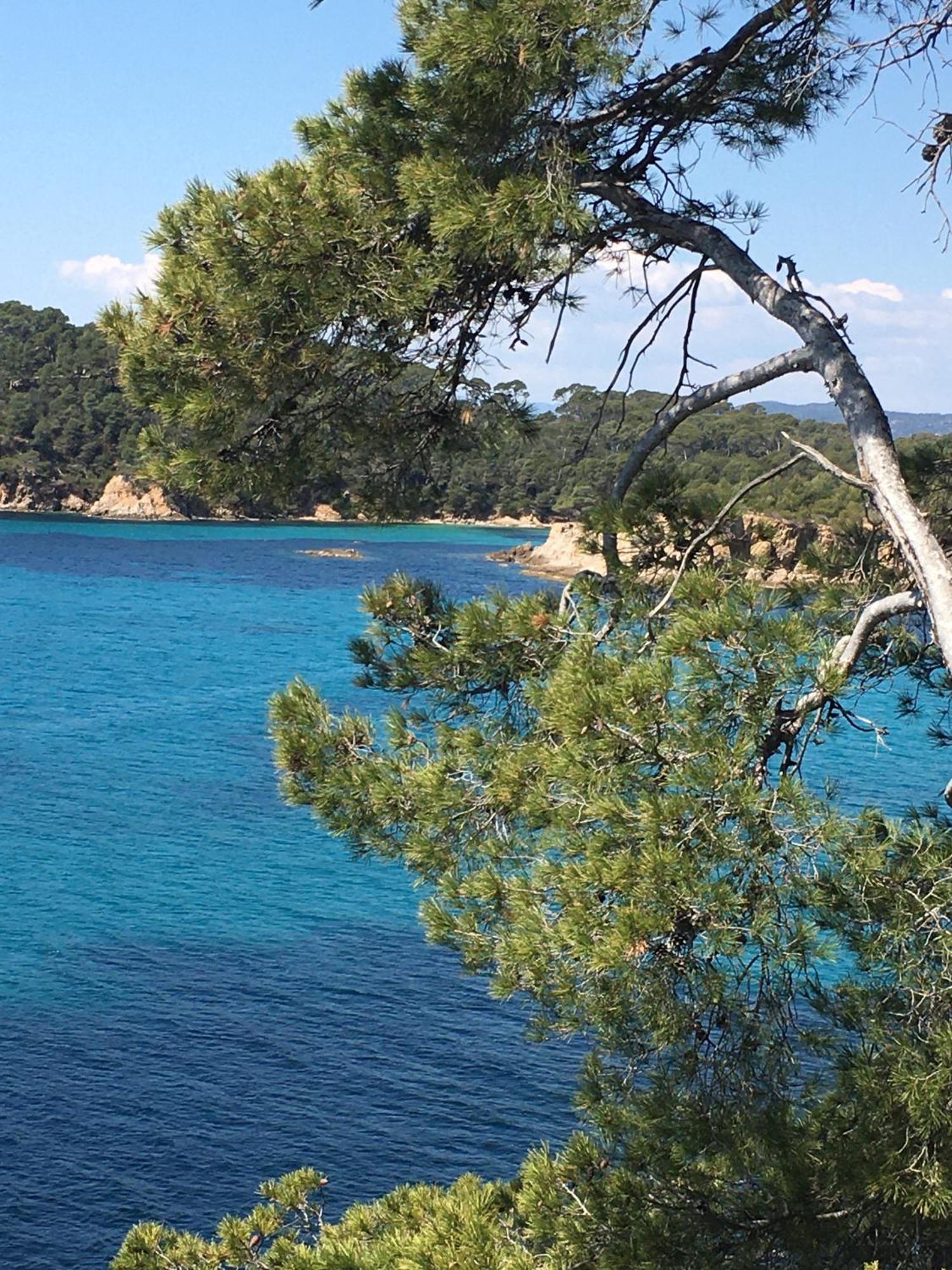 T3 Front De Mer Dernier Etage Vue Mer Petit Havre De Paix Pour Vos Vacances Emplacement Unique Vue Mer Panoramique A 180 Degres Pour Ce T3 En Face De La Plage Front De Mer Vue Sur Les Iles 5 Et Dernier Etage Avec Ascenseur Le Lavandou Eksteriør bilde
